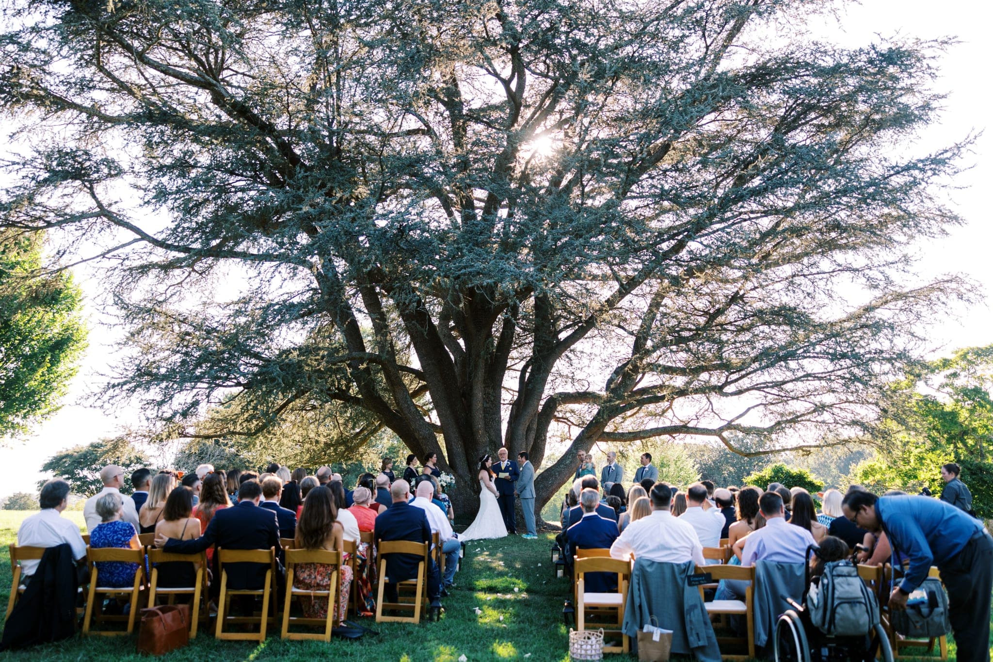 wedding image